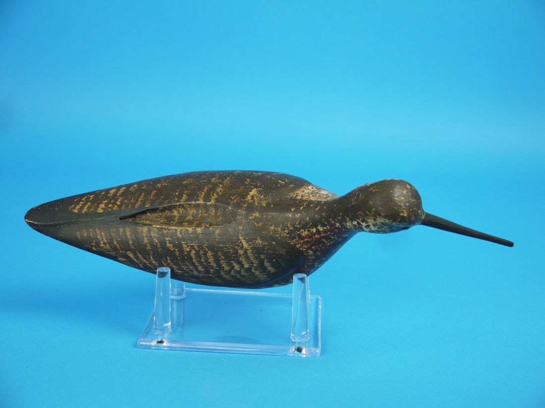 DOWITCHER, S. MOREY - 3