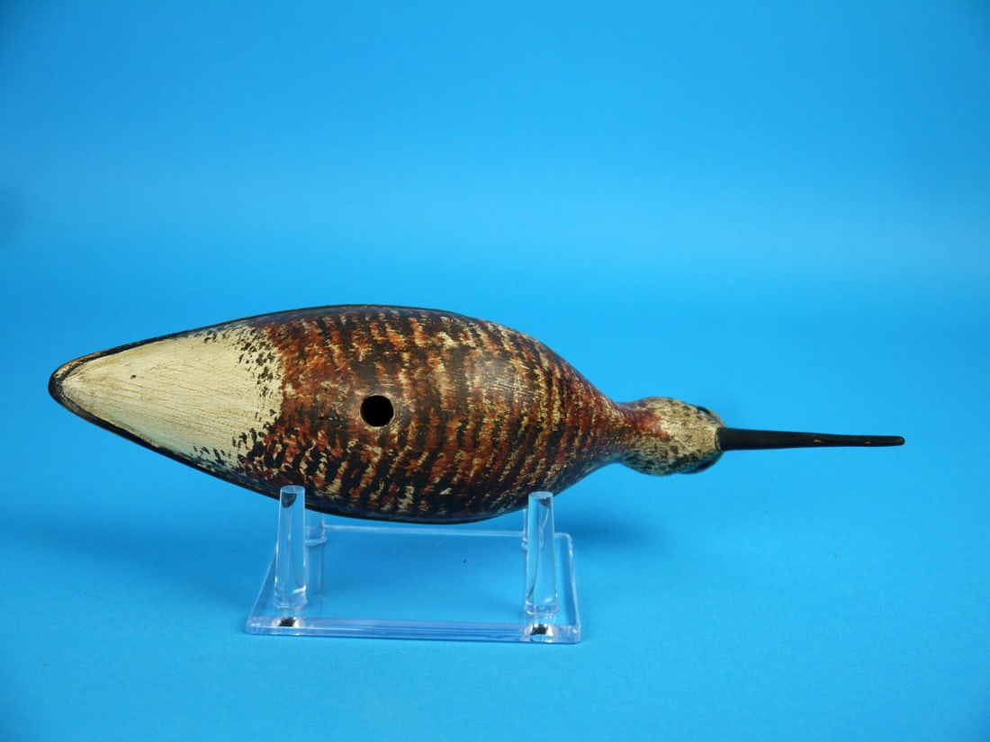 DOWITCHER, S. MOREY - 4