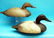 EARLY PAIR OF CANVASBACKS by the Wildfowler Decoy Co.,