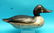 RARE GOLDENEYE DRAKE by the Mason Decoy Co., Detroit,