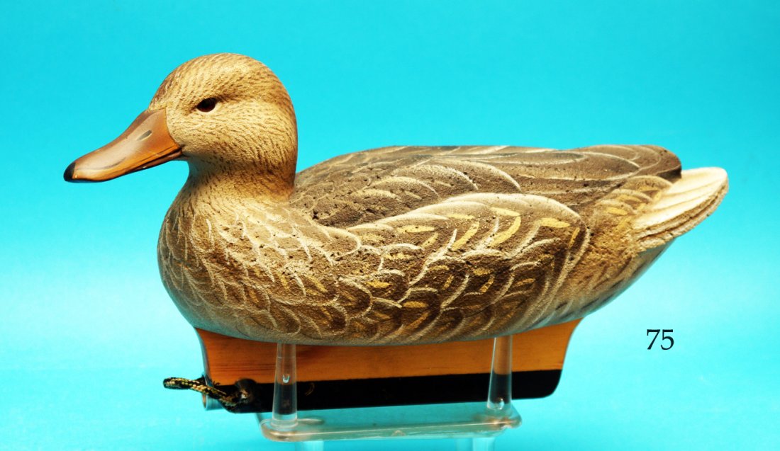 BLUE WING TEAL HEN by Del Herbert, Chula Vista, CA. (1 of 1)