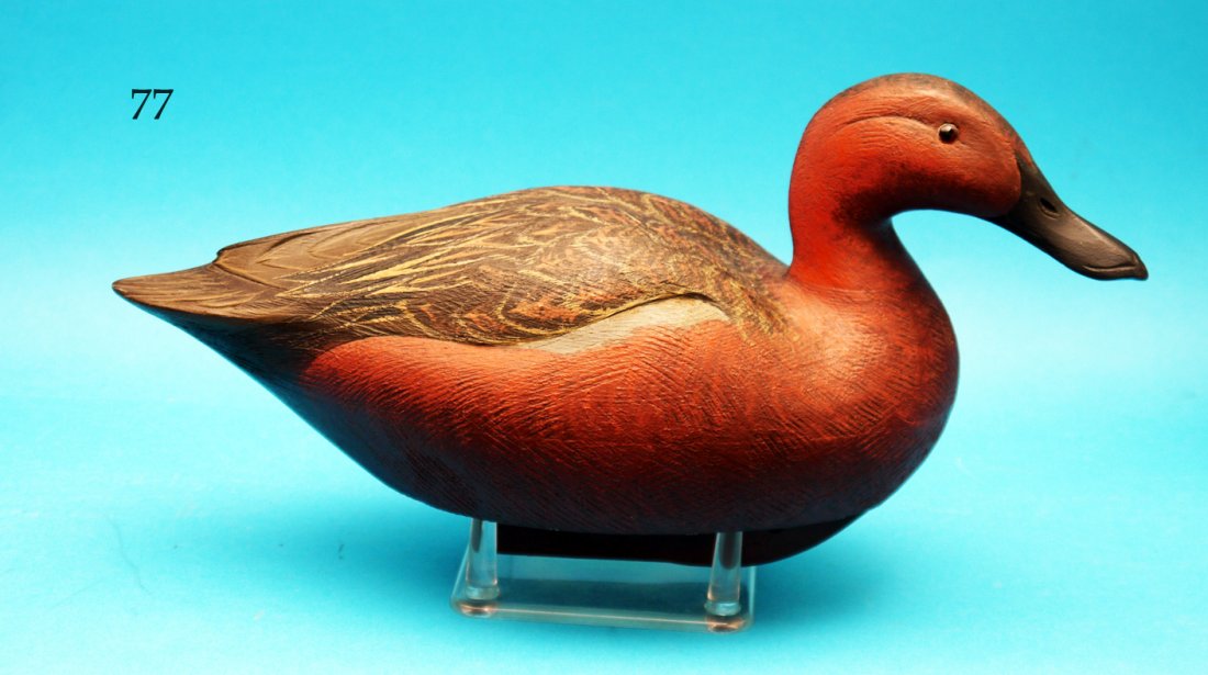 FINE CINNAMON TEAL by Roger Barton, San Francisco, CA. (1 of 1)