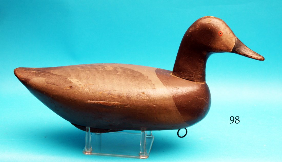VERY EARLY CANVASBACK HEN, possibly Rock Hall, MD. (1 of 1)