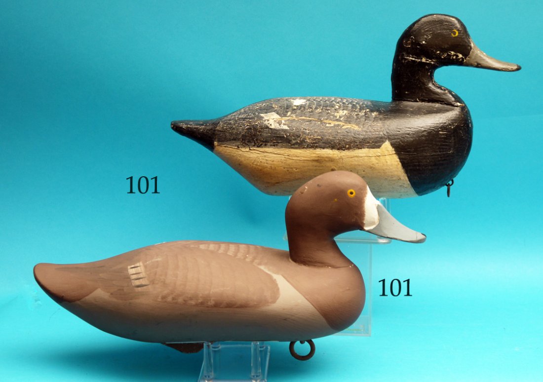 VERY EARLY BLUEBILL DRAKE by Jess Urie, Rock Hall, MD. (1 of 1)