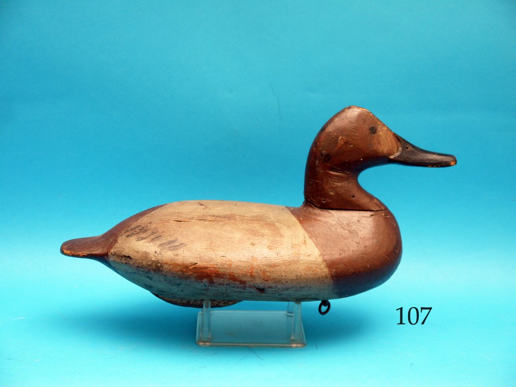 EARLY CANVASBACK HEN by Will Heverin, Havre de Grace, (1 of 1)