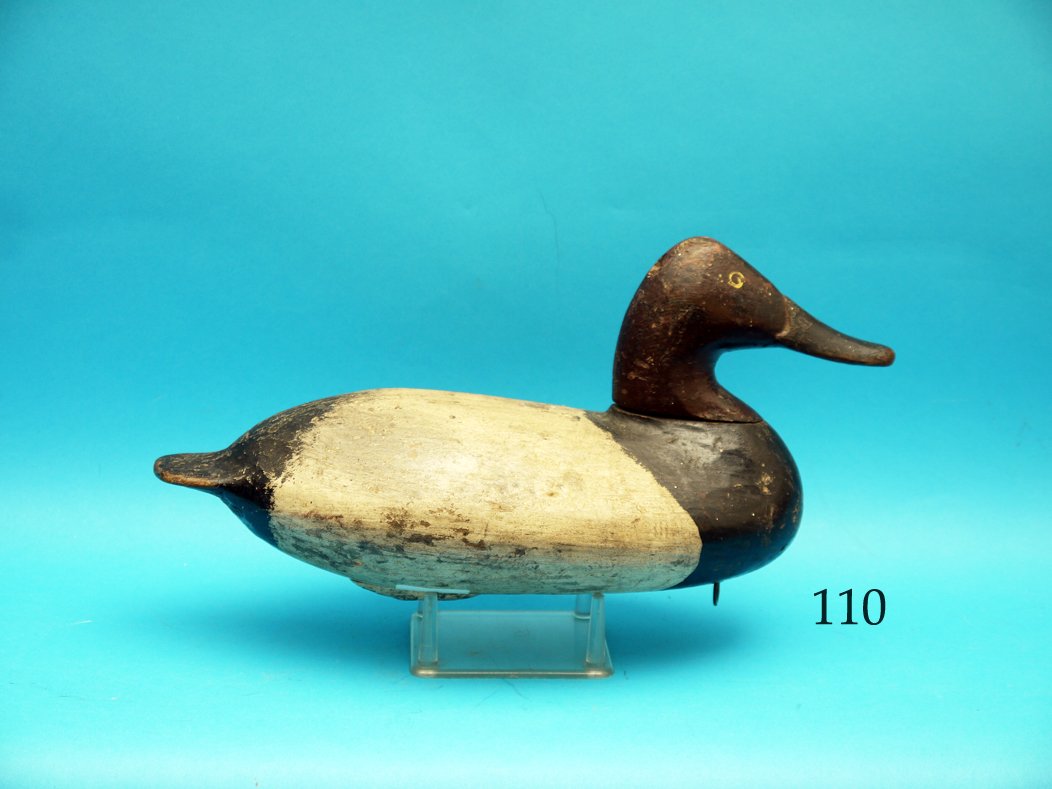 EARLY CANVASBACK DRAKE by Will Heverin, Havre de Grace, (1 of 1)