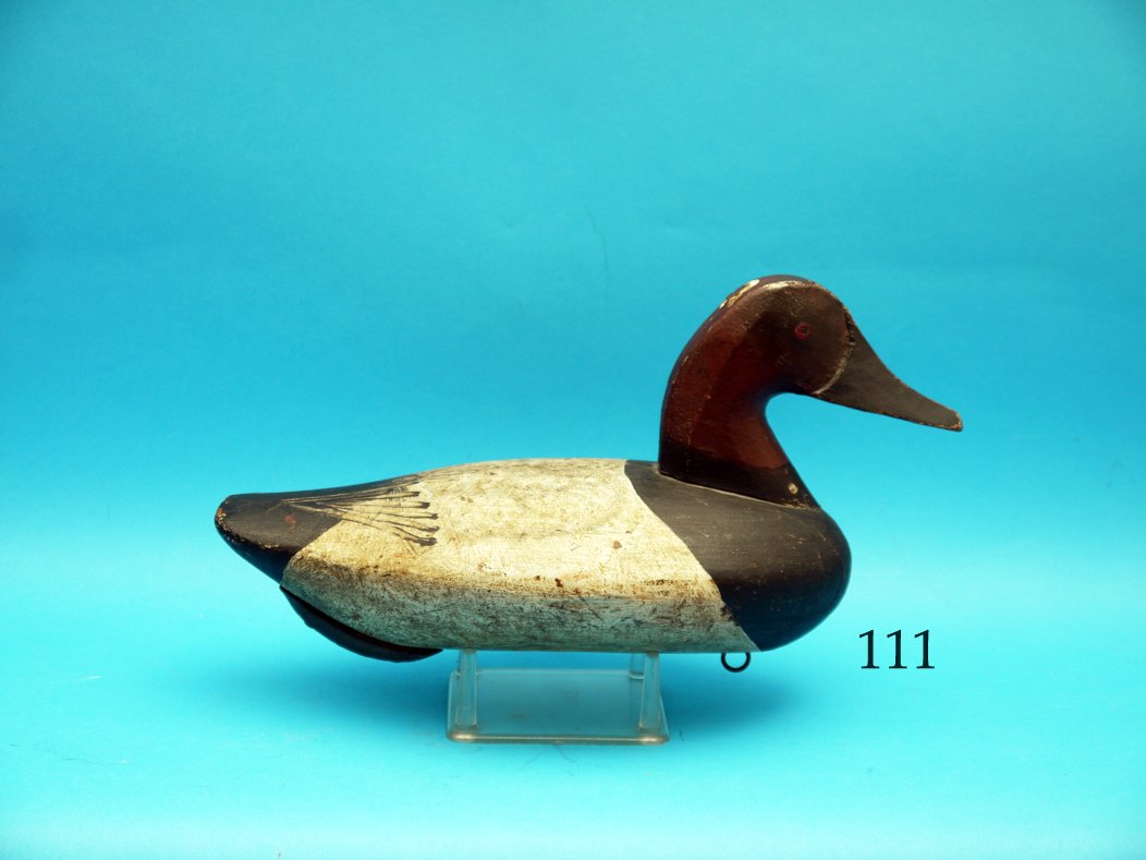 RARE CANVASBACK DRAKE by John Glenn, Rock Hall, MD. (1 of 1)