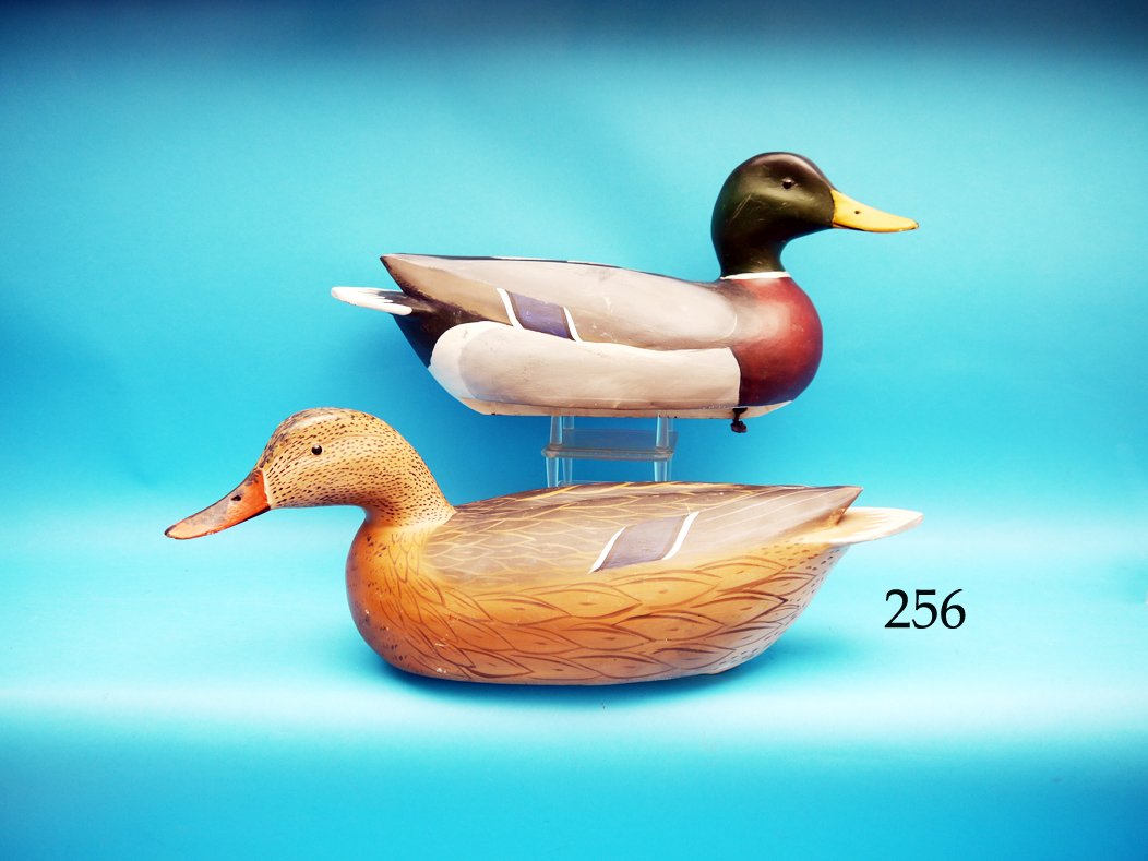 OVERSIZED PAIR OF MALLARDS by William Geonne, King (1 of 1)