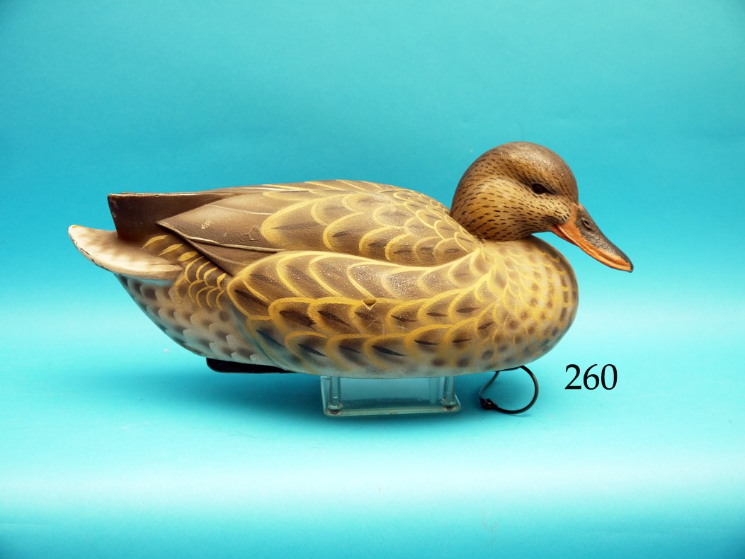 OVERSIZED MALLARD HEN by Tom Matus, Boise, ID. (1 of 1)