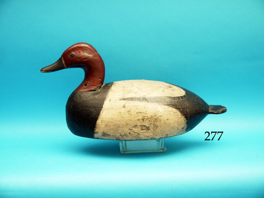 OVERSIZED CANVASBACK DRAKE by Ira Hudson, Chincoteague, (1 of 1)