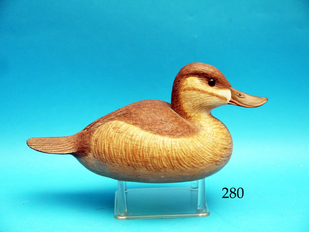 OUTSTANDING RUDDY DUCK HEN by Delbert “Cigar” Daisey, (1 of 1)