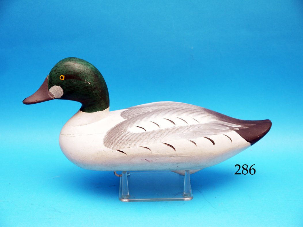 EARLY GOLDENEYE DRAKE attributed to R. Madison (1 of 1)