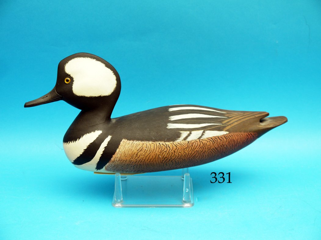 HOODED MERGANSER DRAKE by Glenn Cooke, Manasquan, NJ. (1 of 1)