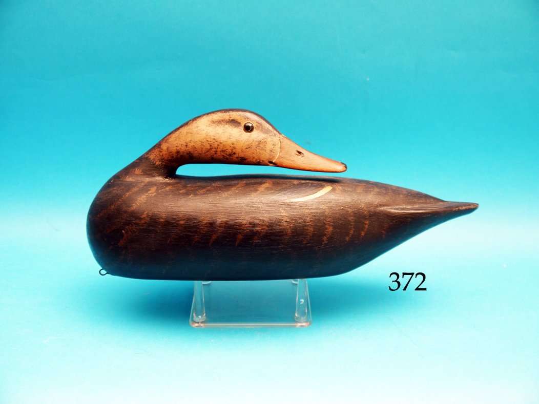 PREENING BLACK DUCK attributed to Jim Slack. Excellent (1 of 1)