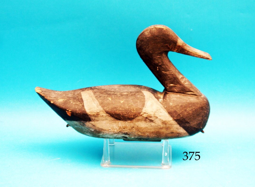 VERY EARLY RING NECK DRAKE, possibly Louisiana. Very (1 of 1)