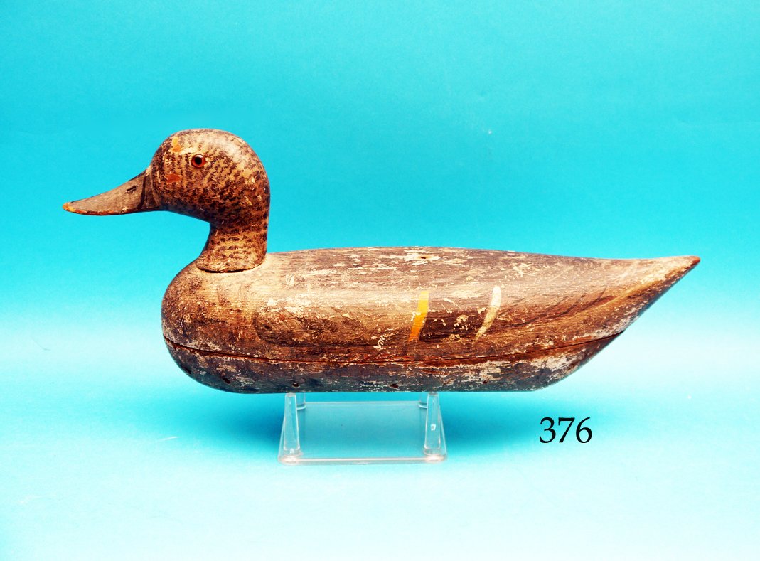 EARLY PINTAIL HEN from the Illinois River region. (1 of 1)