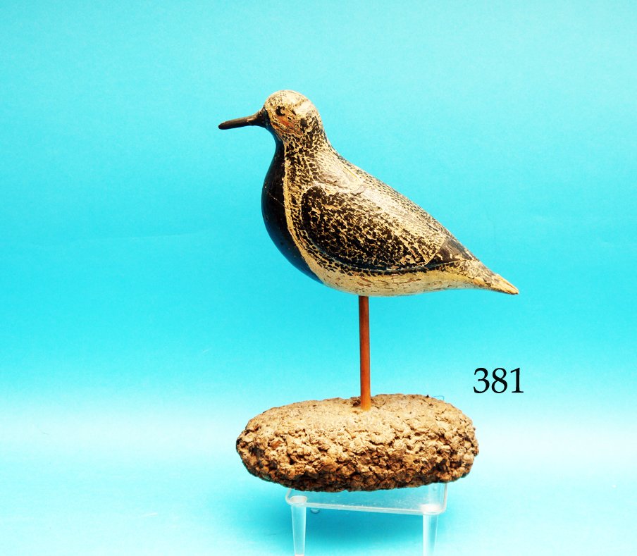 EARLY BLACK BREAST PLOVER by a member of the Verity (1 of 1)