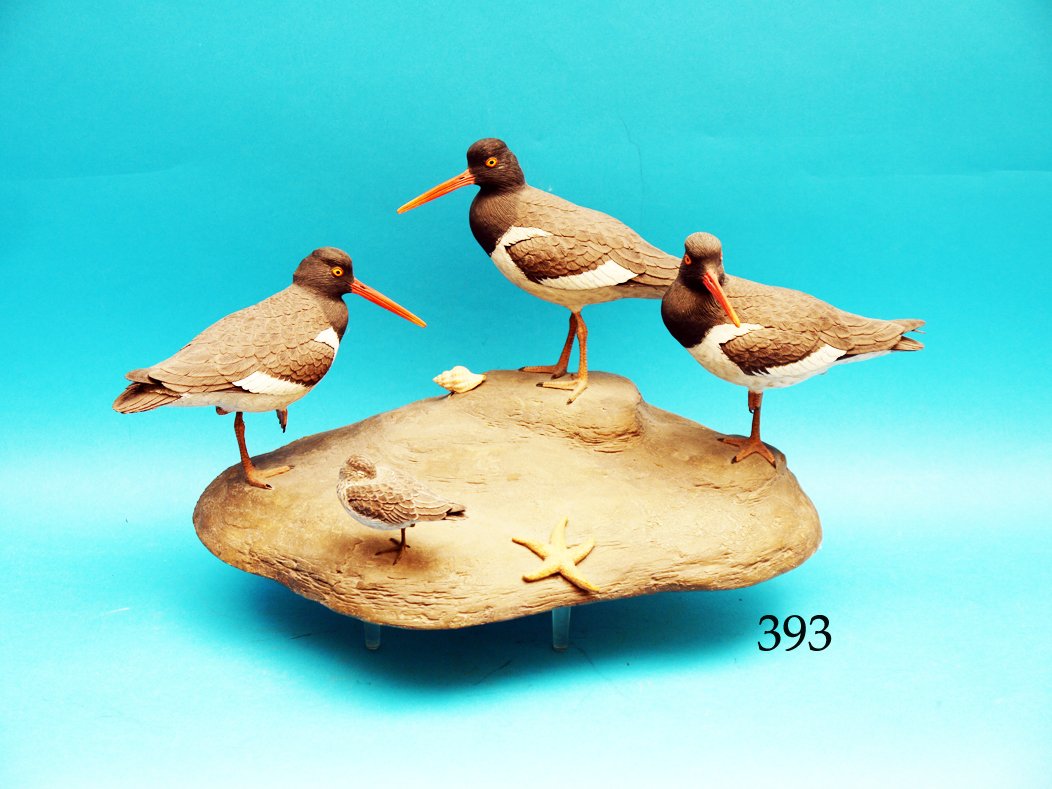 THREE AMERICAN OYSTER CATCHERS AND A LEAST SANDPIPER by (1 of 1)