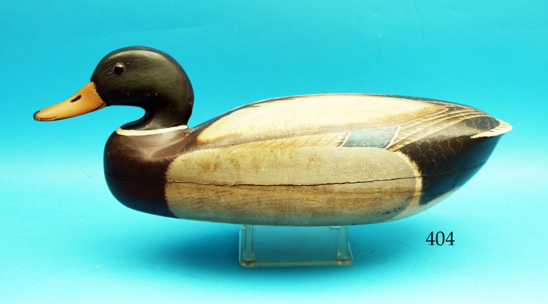 OVERSIZED MALLARD DRAKE, probably New Jersey, in good (1 of 1)