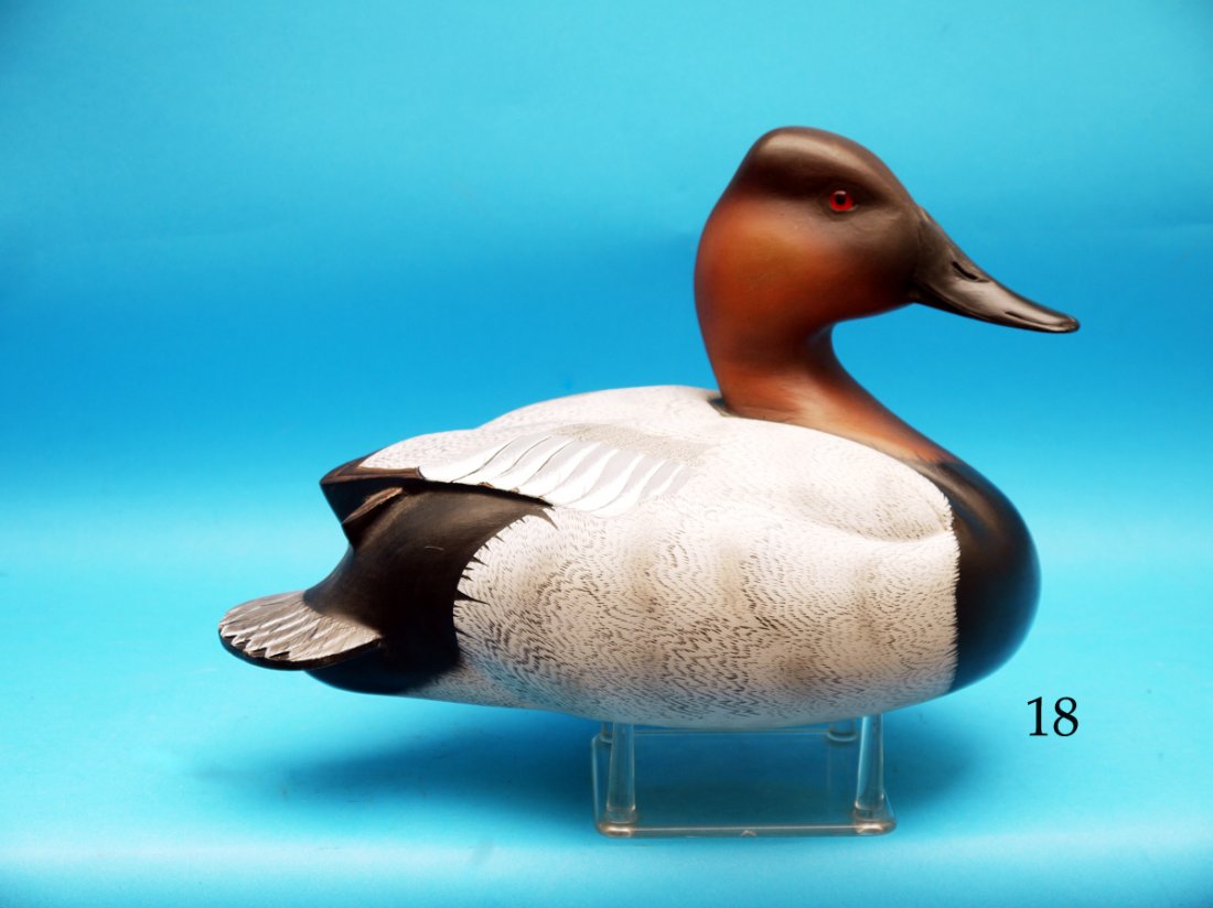 CANVASBACK DRAKE by John Potts, Princeton, NJ. (1 of 1)