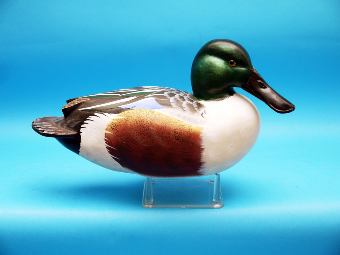 COMPETITION GRADE SHOVELER DRAKE by John Potts, (1 of 1)
