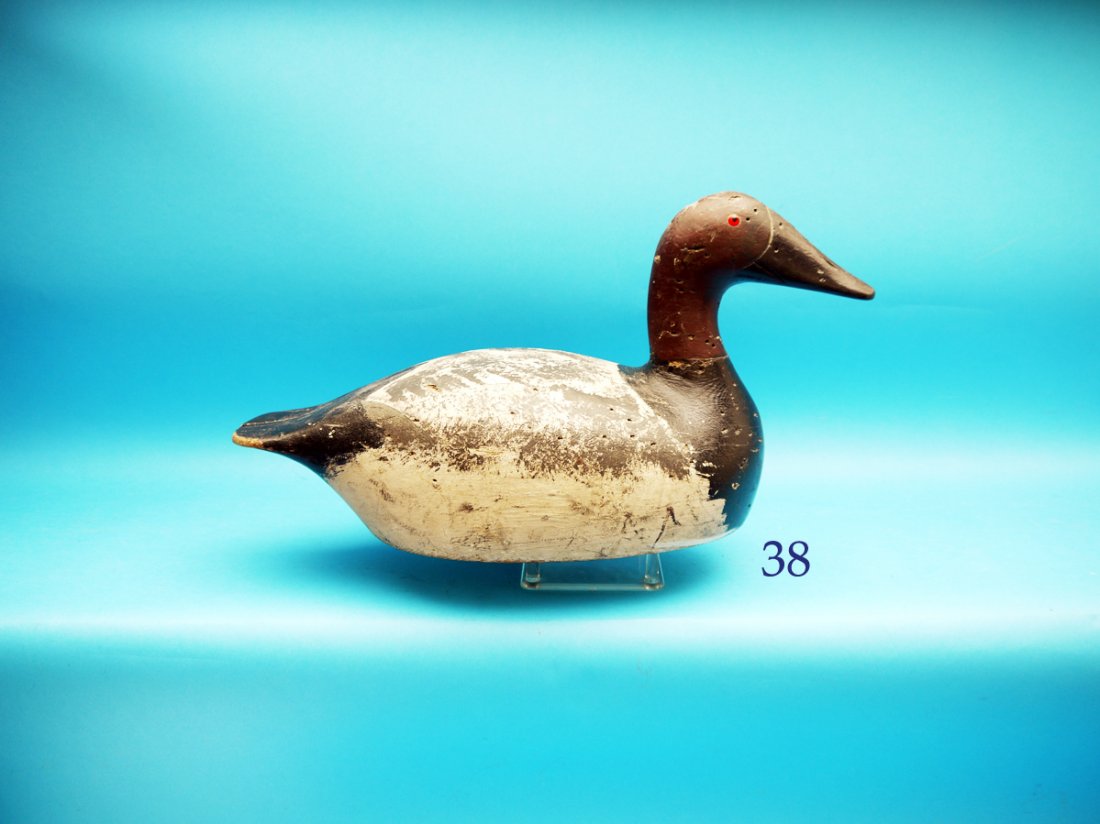 OVERSIZED CANVASBACK DRAKE by the Evans Decoy Co. Areas (1 of 1)