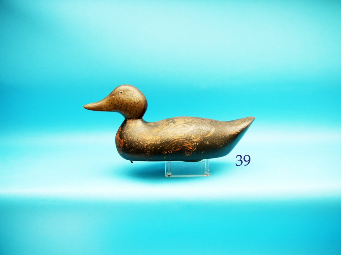 FACTORY BLACK DUCK, possibly Mason Decoy Co., or late (1 of 1)