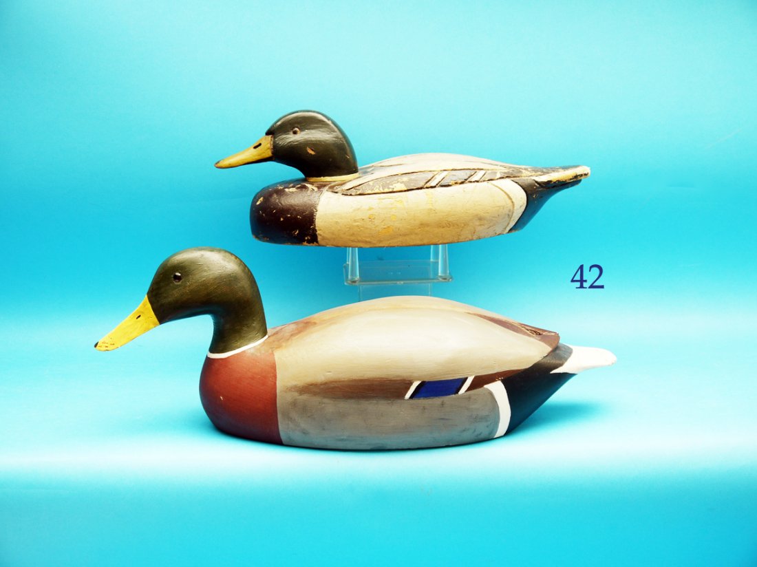 MALLARD DRAKE by George Cooke, Toms River, NJ, in (1 of 1)