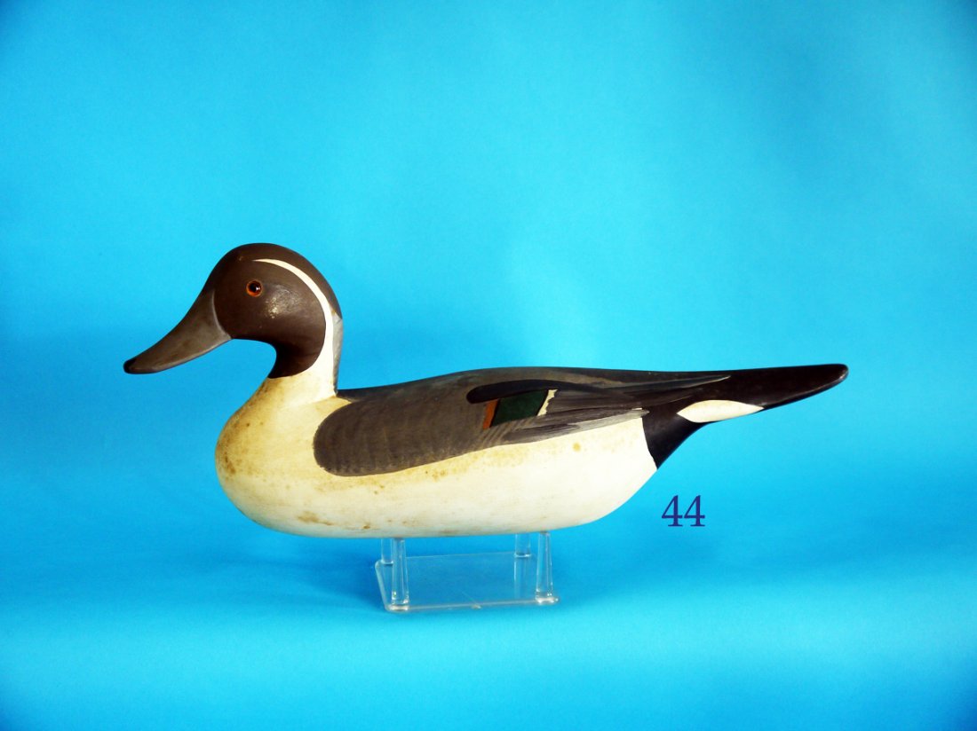 EARLIER PINTAIL DRAKE by R. Madison Mitchell, Havre de (1 of 1)