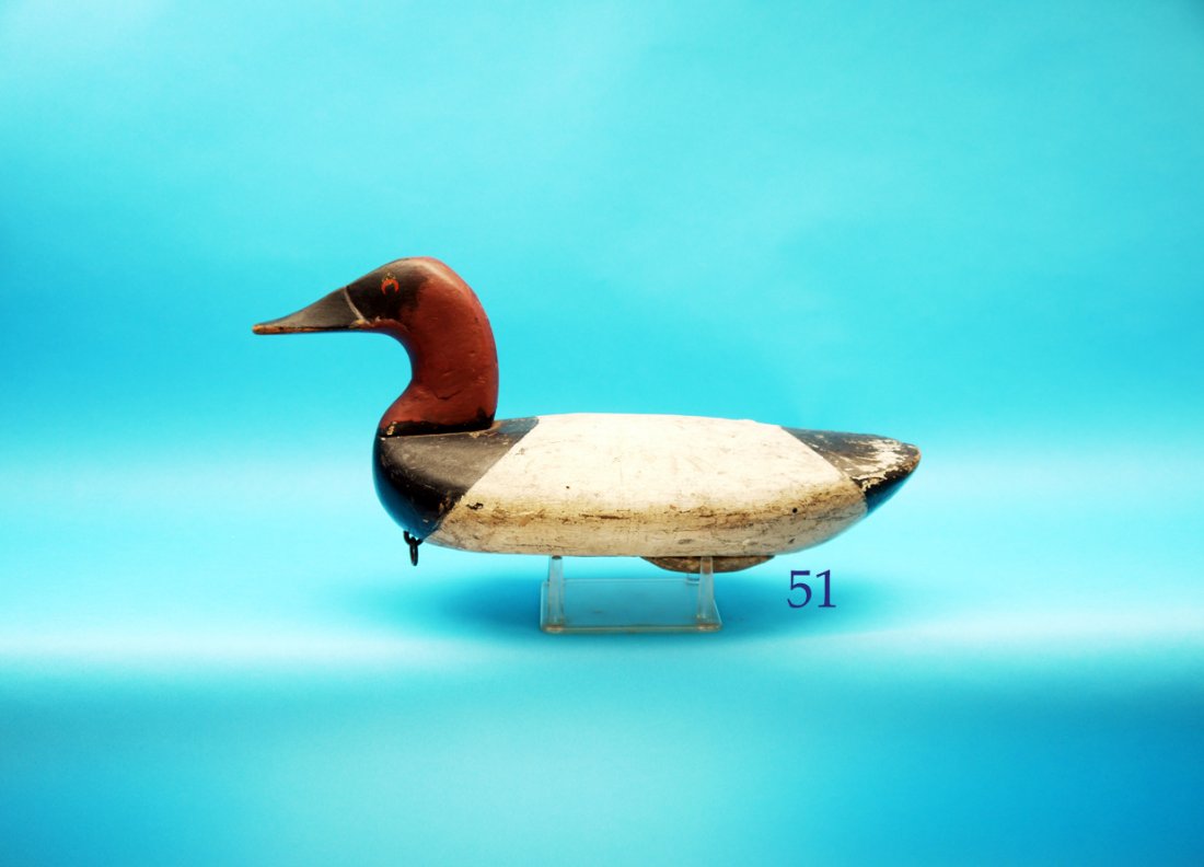 EARLY CANVASBACK DRAKE attributed to Lum Fletcher, (1 of 1)