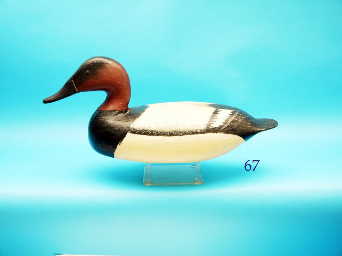 CANVASBACK DRAKE by Ira Hudson, Chincoteague, VA. Very (1 of 1)