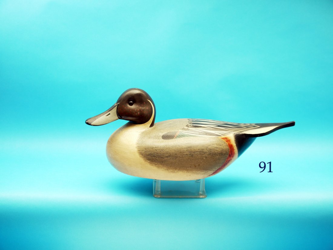 CLASSIC PINTAIL DRAKE by Fredrick C. Brown, Jr., Pt. (1 of 1)
