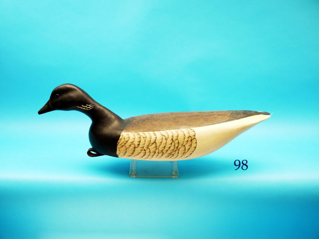 SWIMMING BRANT by Glenn Cooke, Manasquan, NJ. Excellent (1 of 1)