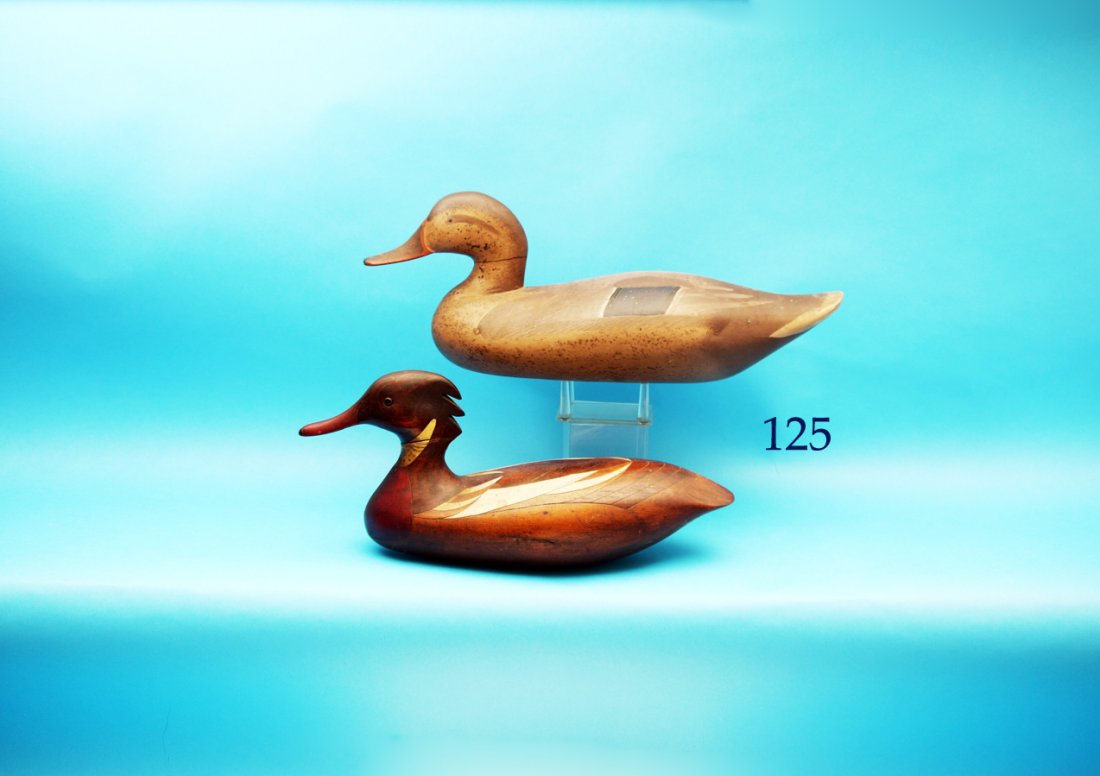 EARLY MALLARD HEN from the shop of R. Madison Mitchell, (1 of 1)