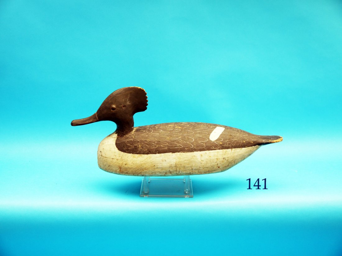 RARE MERGANSER HEN by Miles Hancock, Chincoteague, VA, (1 of 1)