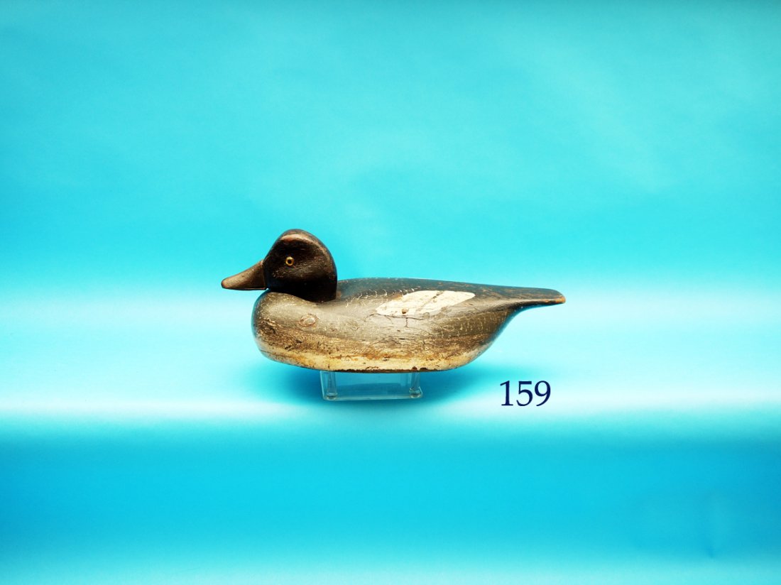 RARE GOLDENEYE HEN by Billy Ellis, Whitby-Oshawa, ONT, (1 of 1)