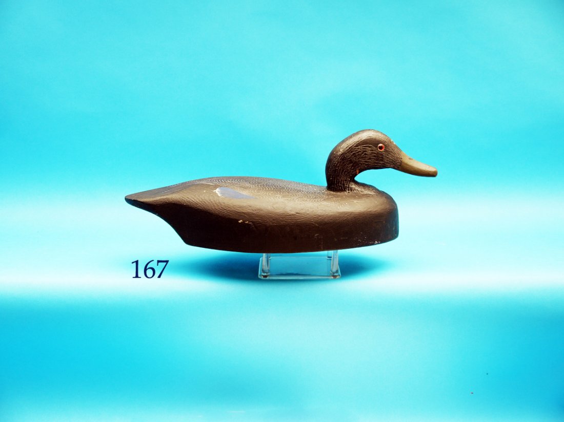 BLACK DUCK by Tom Martindale, Wolf Island, Napanee, (1 of 1)