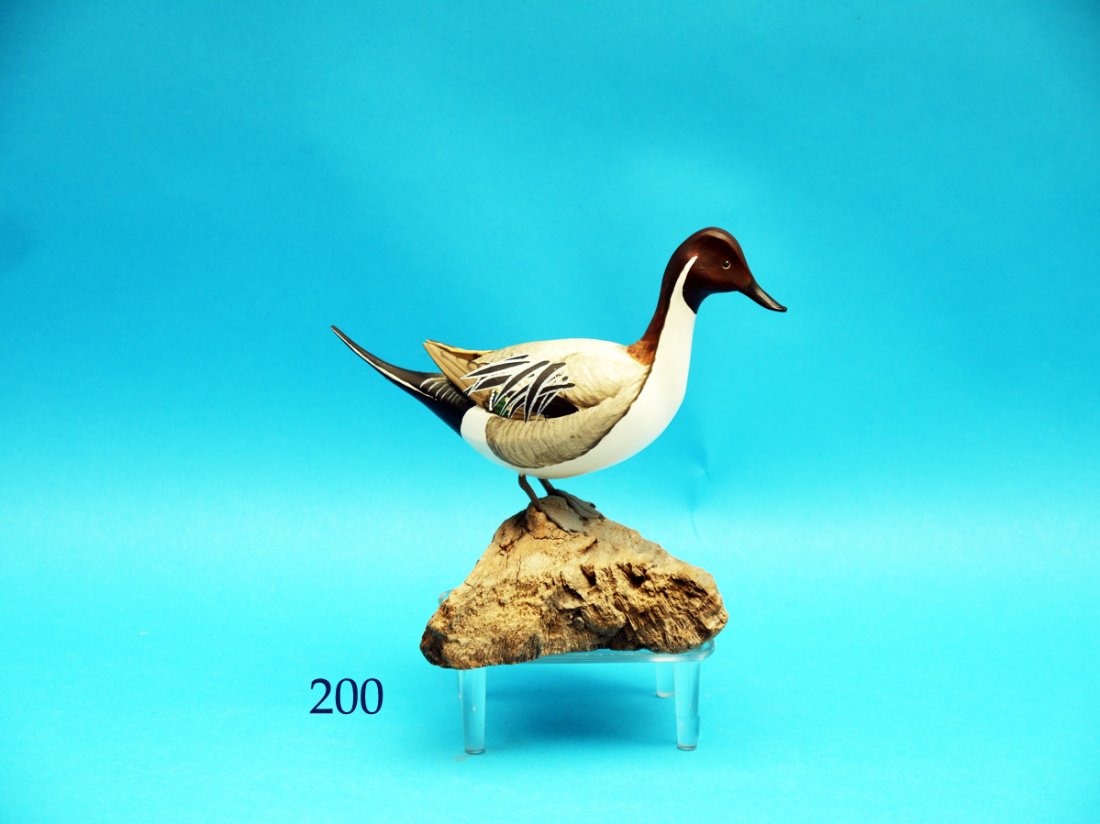 VERY FINE ONE-QUARTER SIZE PINTAIL DRAKE by Ernest (1 of 1)