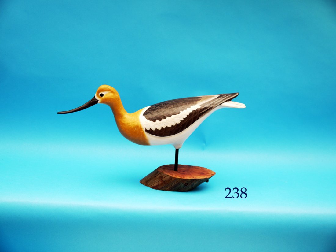 FEEDING AVOCET by Ronald Sabatini, Levittown, PA. (1 of 1)