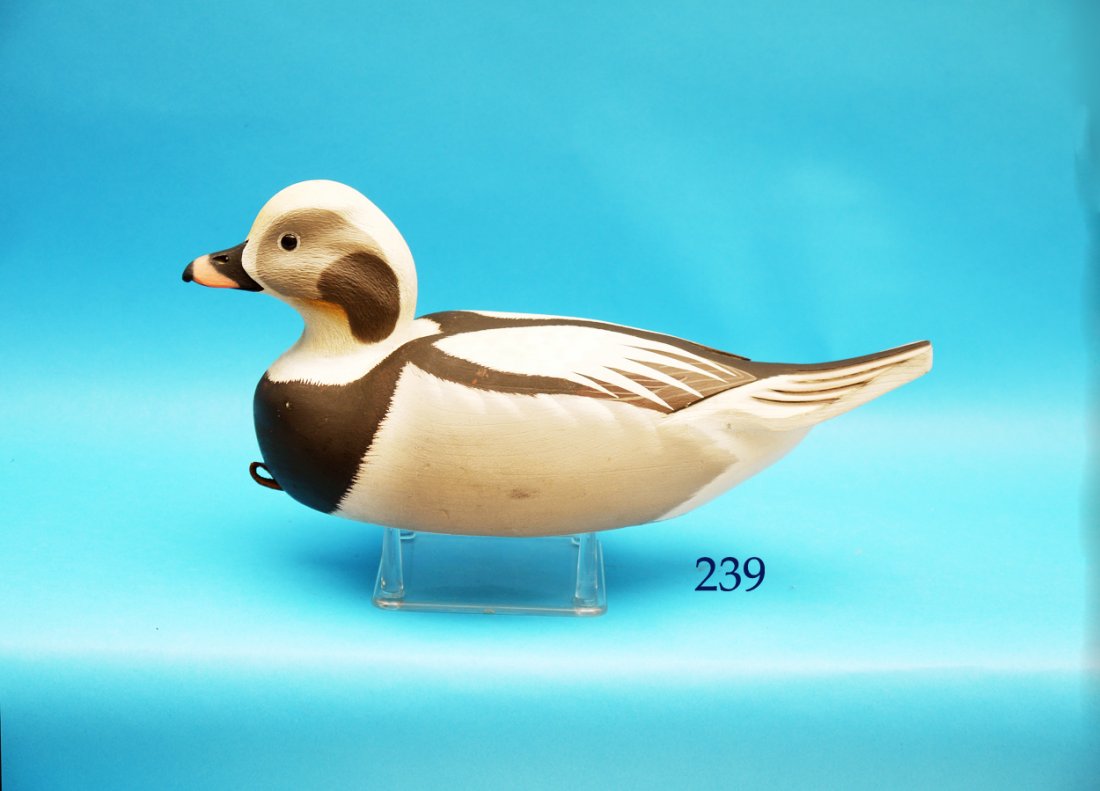 OLD SQUAW DRAKE by Jim West, Bordentown, NJ. Excellent: OLD SQUAW DRAKE by Jim West, Bordentown, NJ. Excellent original paint and condition. Carved wing tips and fluted tail. Bottom pad weight. Signed
