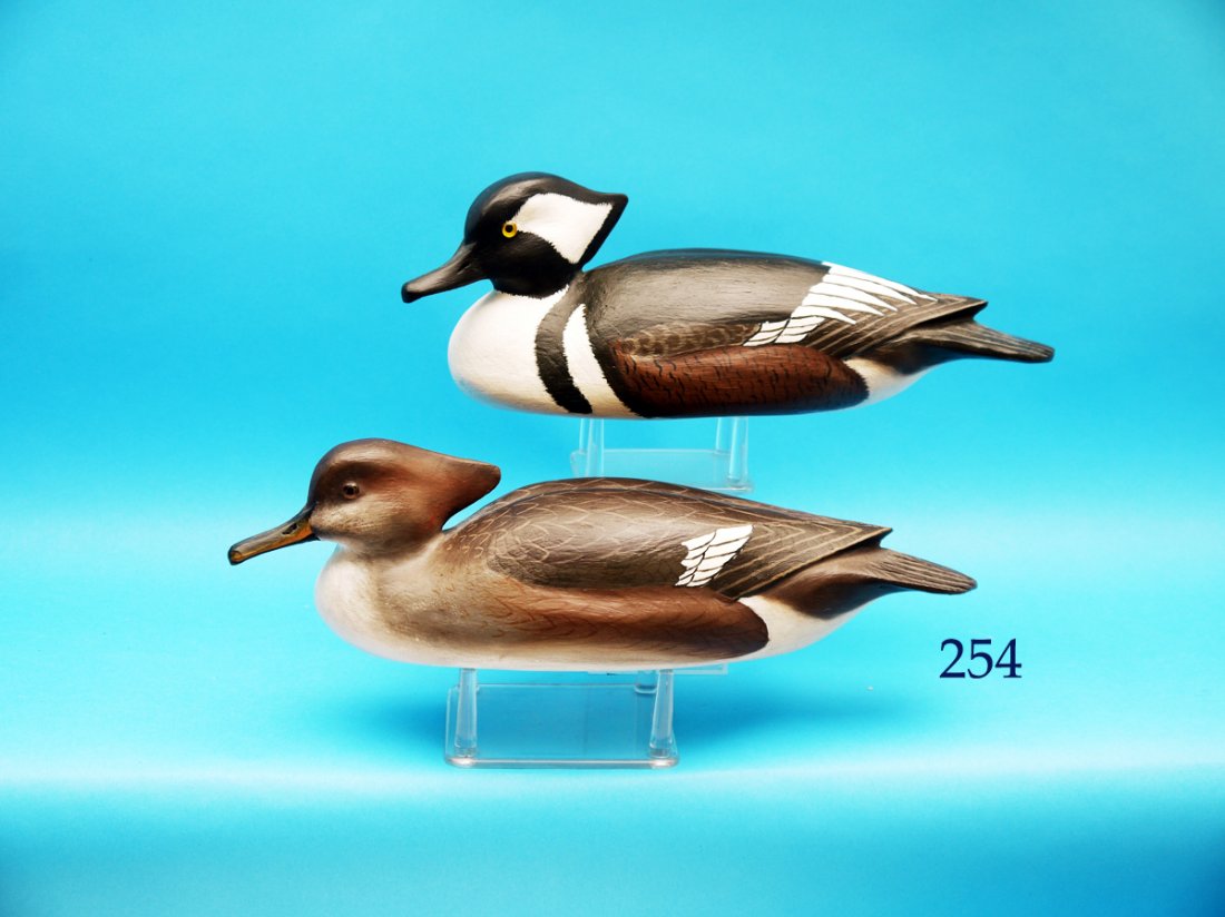 PAIR OF HOODED MERGANSERS by Ron Sabatini, Levittown, (1 of 1)