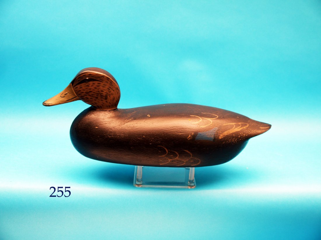 FINE AND EARLY BLACK DUCK, possibly from the (1 of 1)