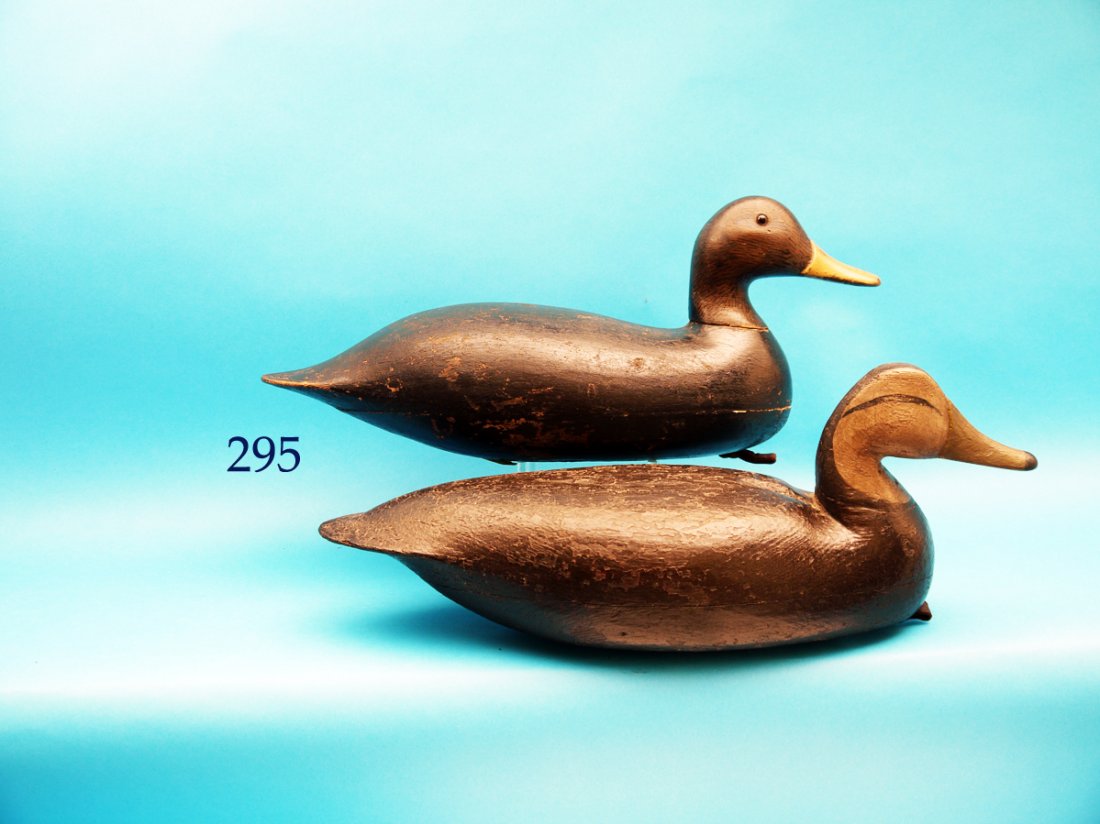 TWO BLACK DUCKS. The first is by H.V.Shourds, (1 of 1)