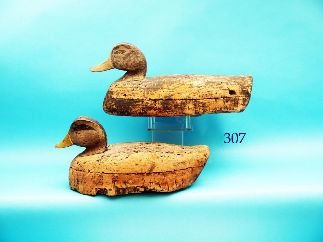 TWO VERY EARLY BLACK DUCKS attributed to Andrew Verity. (1 of 1)
