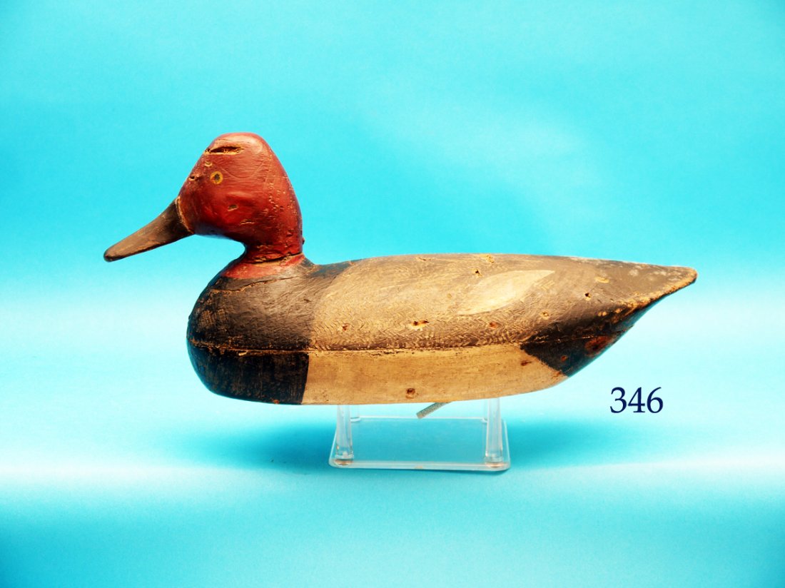 VERY EARLY RED HEAD DRAKE attributed Otto Wrenger, (1 of 1)