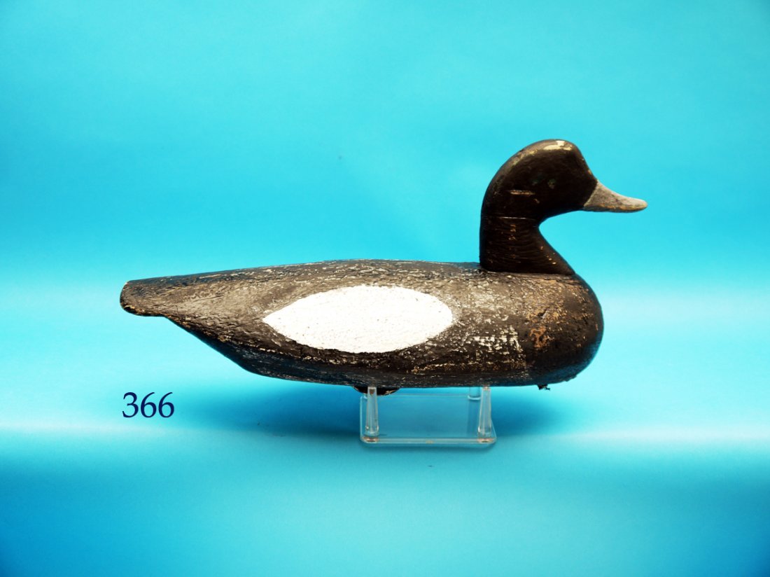 EARLY BLUEBILL DRAKE by Ned Burgess, Churches Island, (1 of 1)