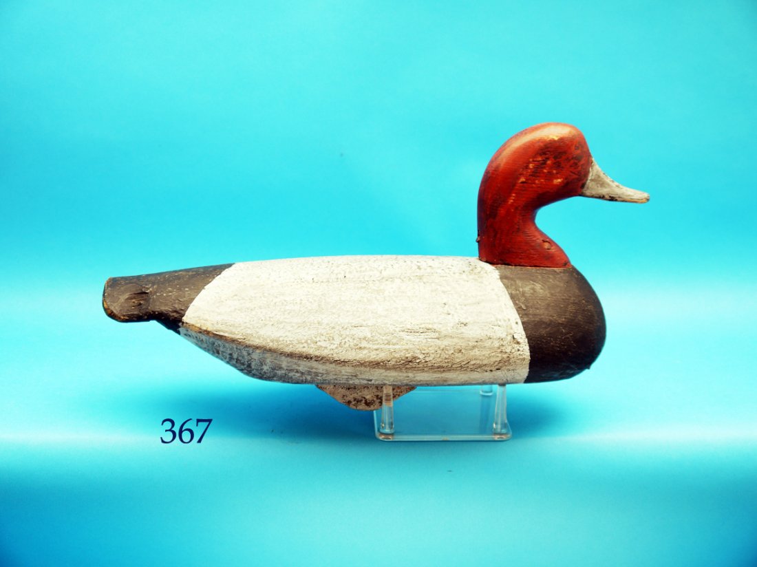 EARLY REDHEAD DRAKE by Ned Burgess, Churches Island, (1 of 1)