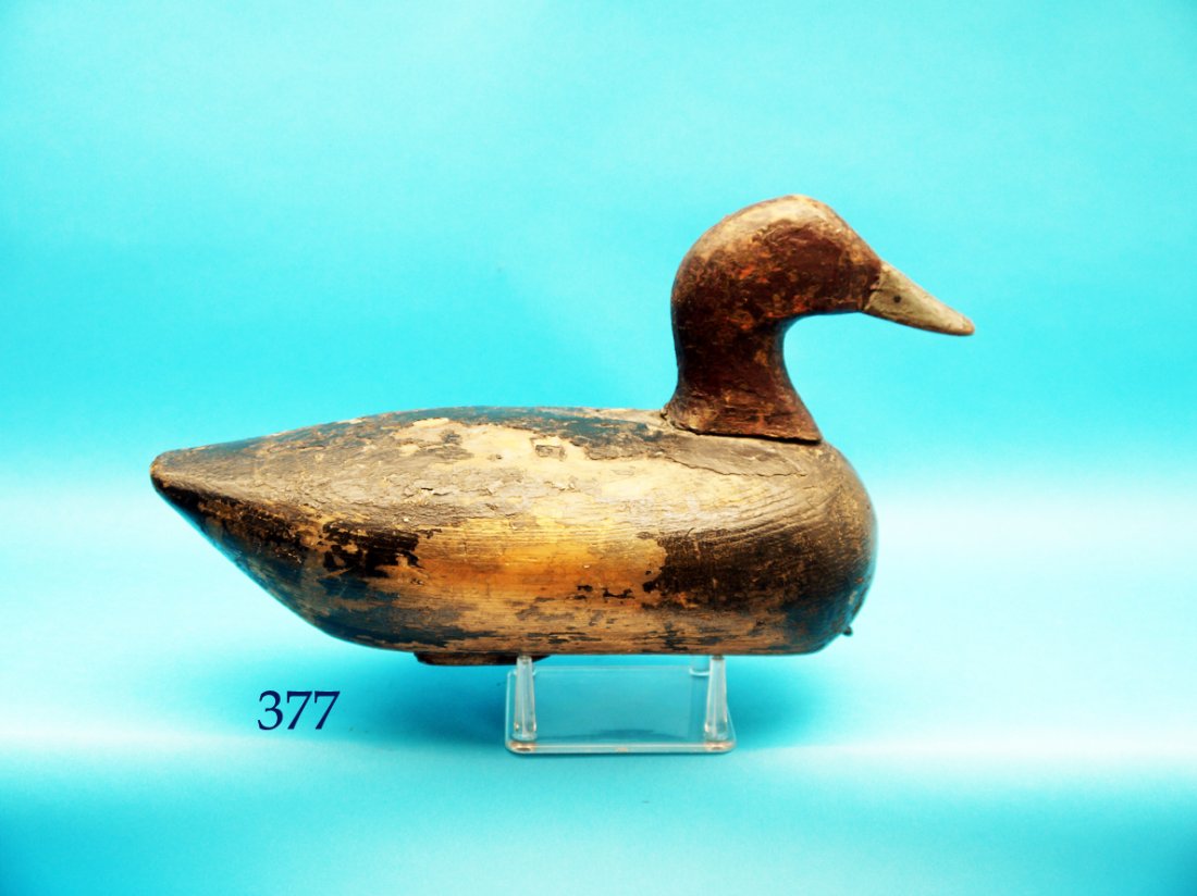 VERY EARLY BLUEBILL, attributed to Charlie Waterfield, (1 of 1)