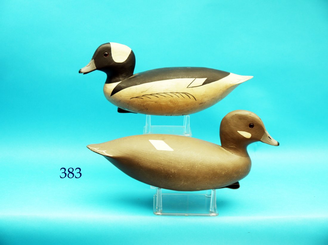 PAIR OF BUFFLEHEADS by John Hamilton, Cedar Run, NJ. (1 of 1)
