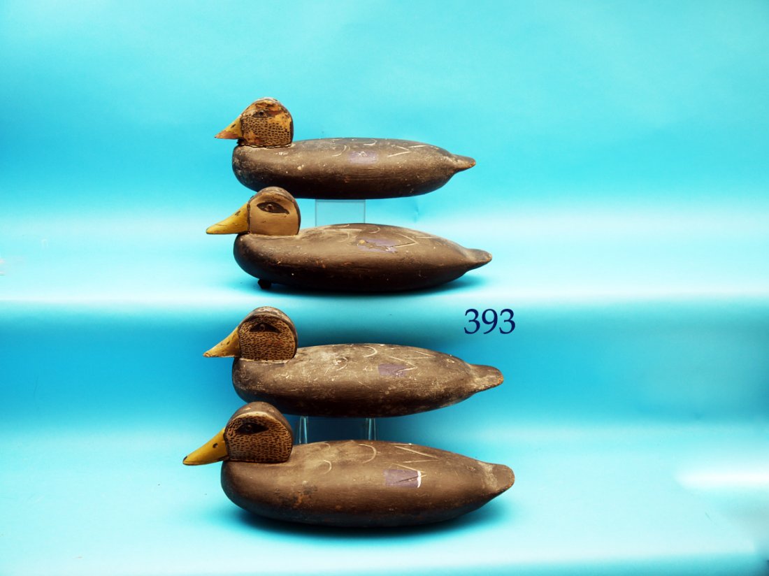 GROUP OF FOUR WORKING BLACK DUCKS, Delaware River (1 of 1)